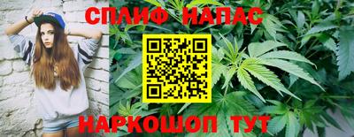 ГАЛЛЮЦИНОГЕННЫЕ ГРИБЫ Аргун