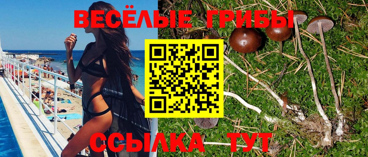 Галлюциногенные грибы мухоморы  Вход с VPN  Воскресенск 
